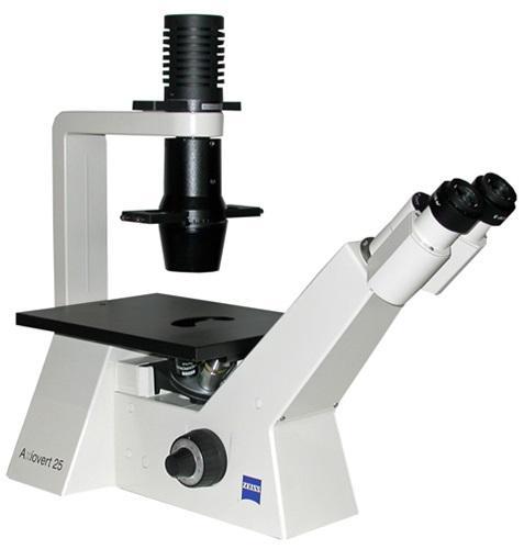 Microscope Zeiss Axiovert 25