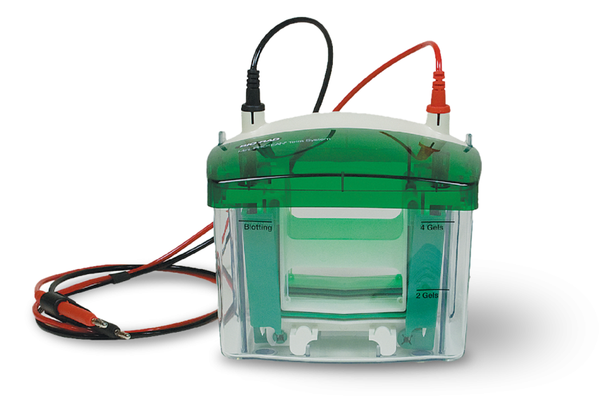 Cuve d'électrophorèse BIO-RAD Mini Protean